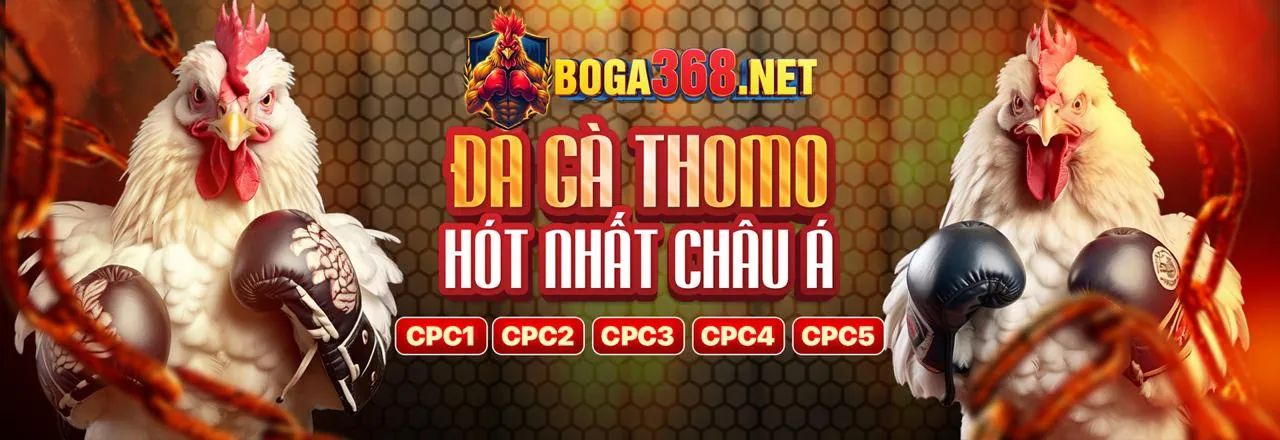 Giao diện cá cược thể thao hiện đại của Sin88